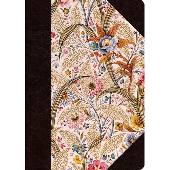 ESV Single Column Journaling Bible, Large Print image 0