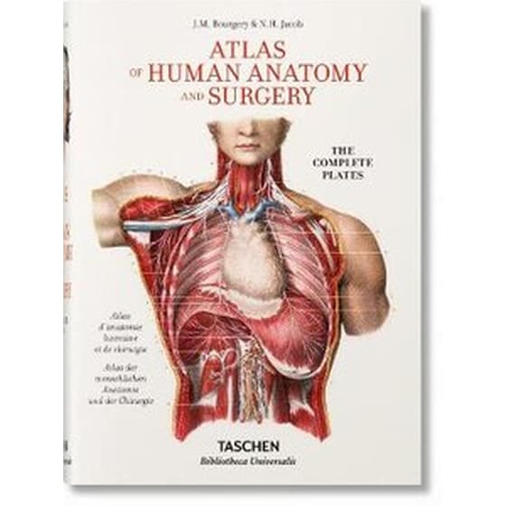 Bourgery. Atlas of Human Anatomy and Surgery image 0