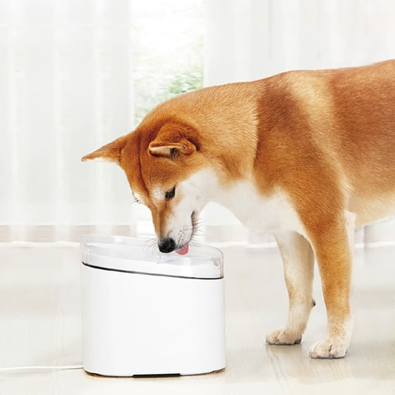 Αυτόματη Ποτίστρα Κατοικίδιων Xiaomi Mi Smart Pet Fountain - Λευκή image 5
