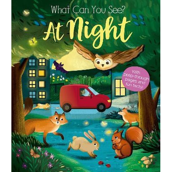 WHAT CAN YOU SEE AT NIGHTx image 0