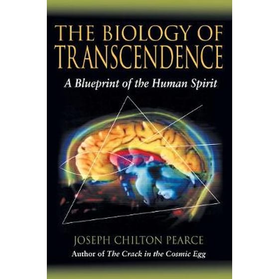 Biology of Transcendence image 0