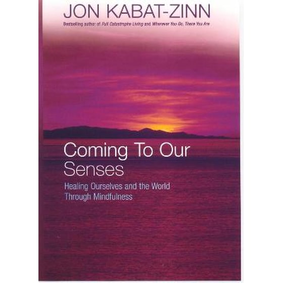 Coming To Our Senses image 0
