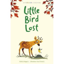 Little Bird Lost