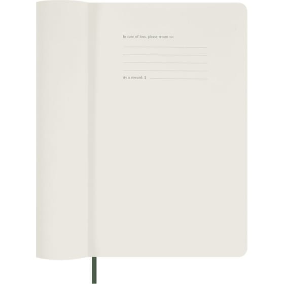 Ημερολόγιο Ημερήσιο Moleskine 2025 12M Large Myrtle Green Soft image 3