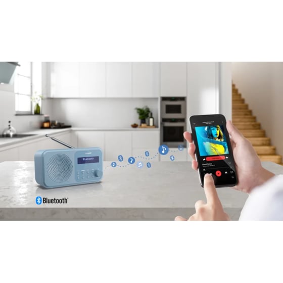 Φορητό ραδιόφωνο Sharp Tokyo DR-P420-Blue image 10