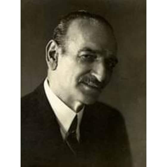 Μεγάλη γυναίκα image 1