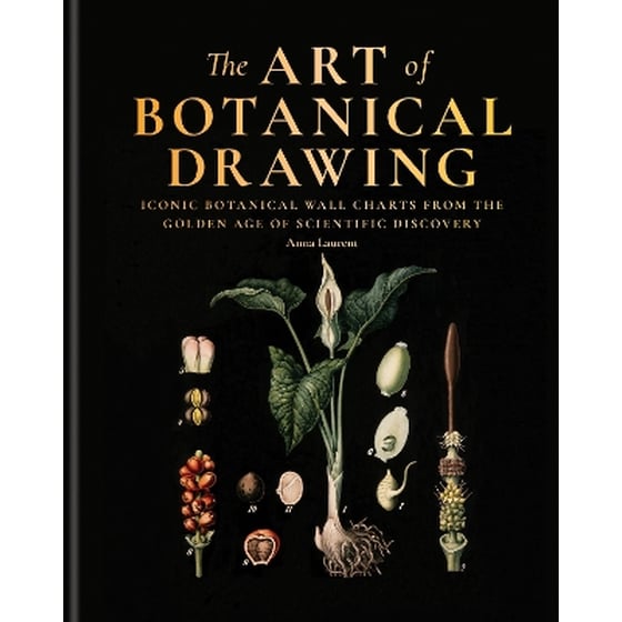 The Art of Botanical Drawing image 0
