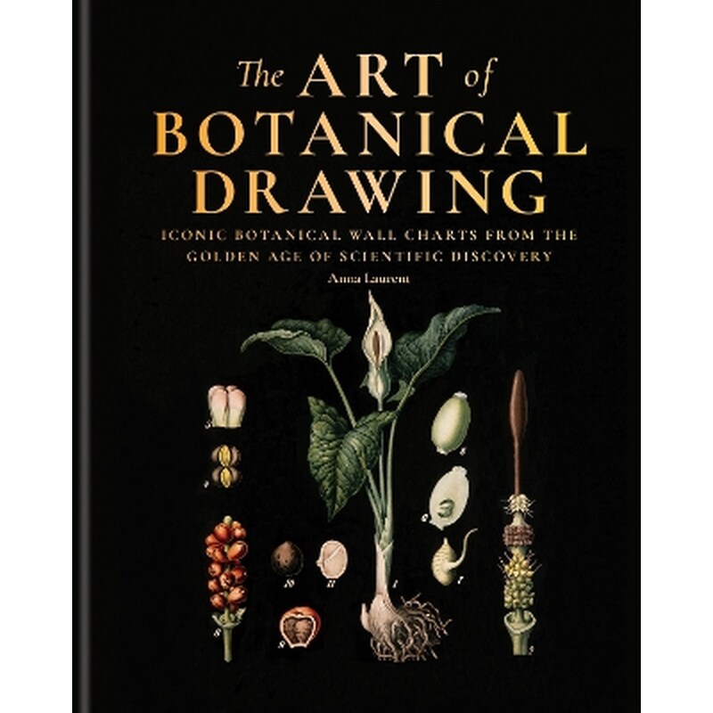 The Art of Botanical Drawing