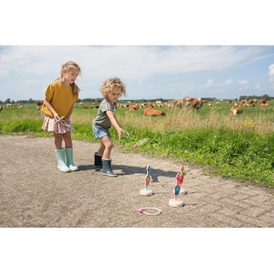 Bs Toys Ring Toss Birds Ξύλινο Παιχνίδι Στόχων image 0