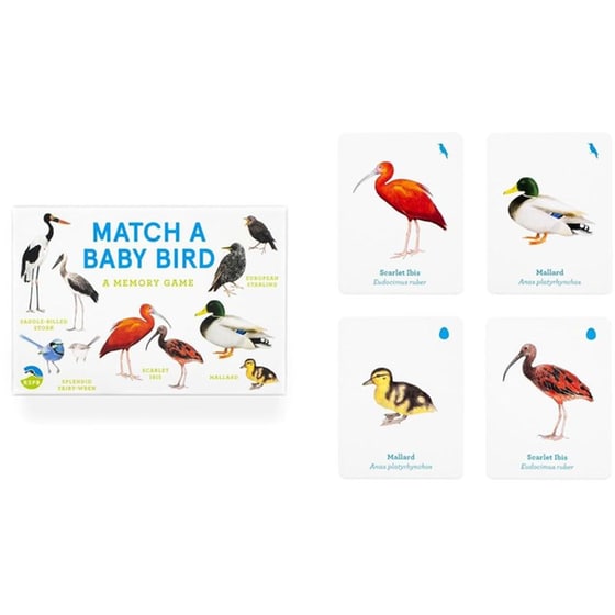 Match a Baby Bird image 5