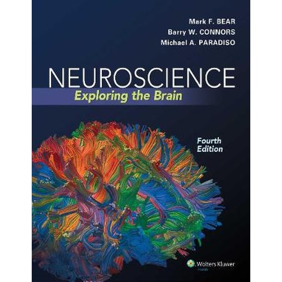 Neuroscience image 0