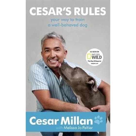 Cesar's Rules image 0
