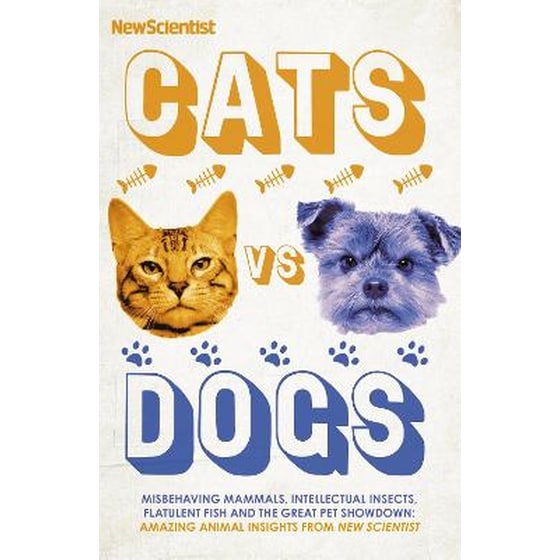 Cats vs Dogs image 0