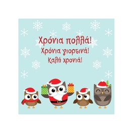 Χριστουγεννιάτικη Κάρτα Happy Cards Κουκουβάγιες