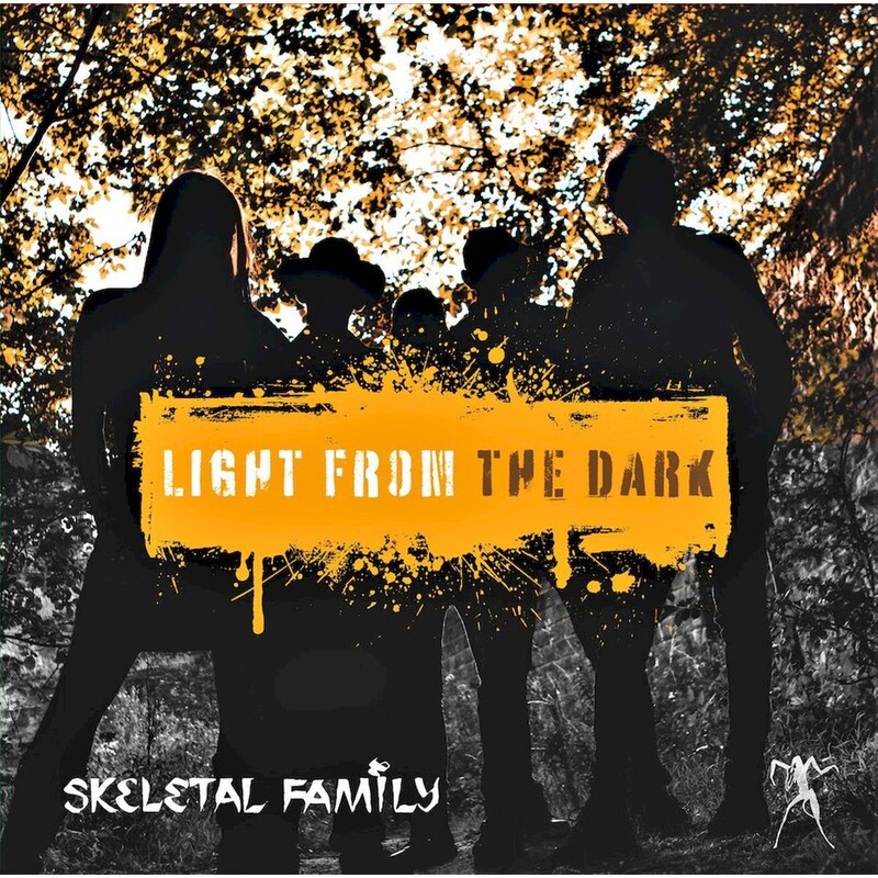 Light From The Dark (LP)