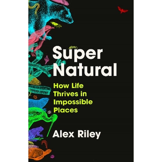 Super Natural image 0