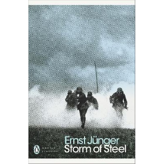 Storm of Steel image 0