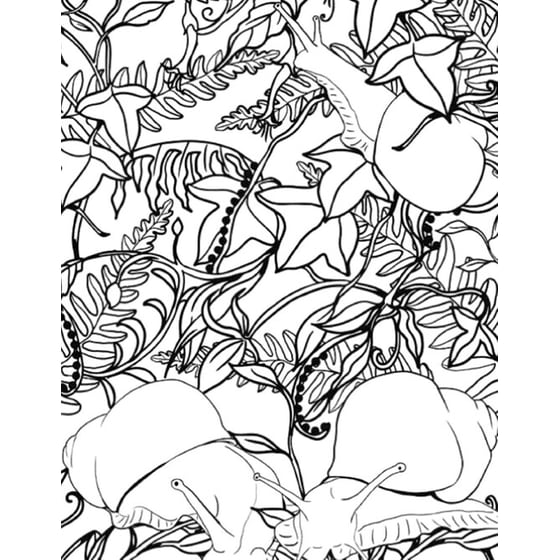 Art Therapy- Enchanted Forest image 2