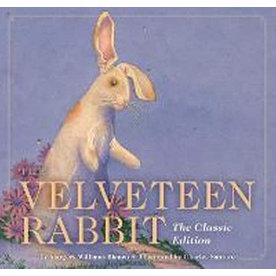 Velveteen Rabbit image 0