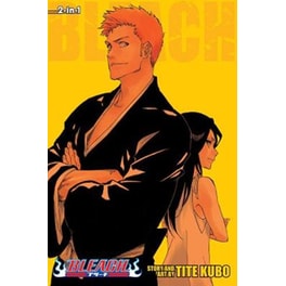 Bleach (2-in-1 Edition), Vol. 25