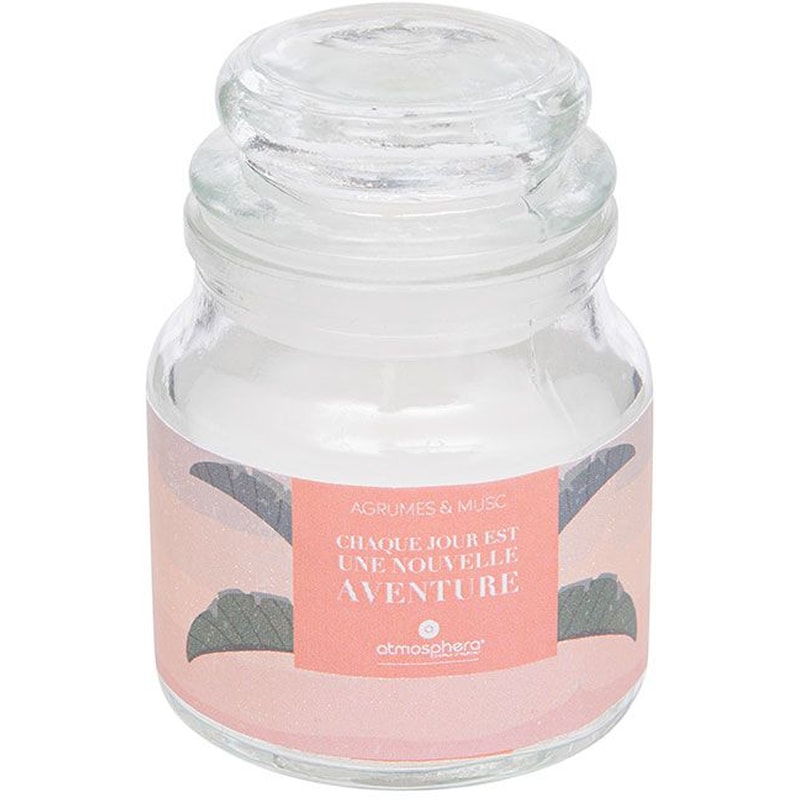 Αρωματικό Κερί Spitishop A-s Jomy Hawai 192725b 65gr 6.2x8.7cm - Εσπεριδοειδή