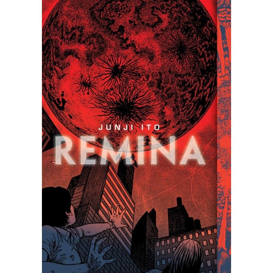 Remina image 0