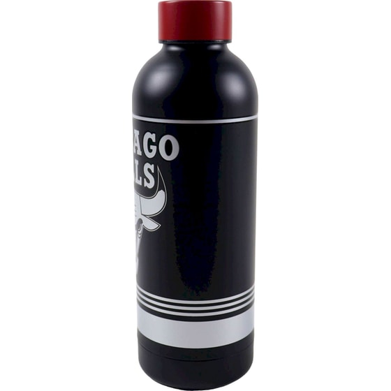 Παγούρι Αλουμινίου ΝΒΑ 530 ml 1 Τμχ - Τυχαία Επιλογή Σχεδίου image 4