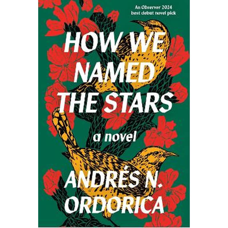 How We Named the Stars