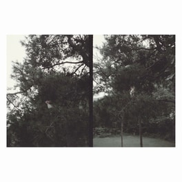 Just Like Any Other Day: Background Music For Your Mundane Activities (LP)