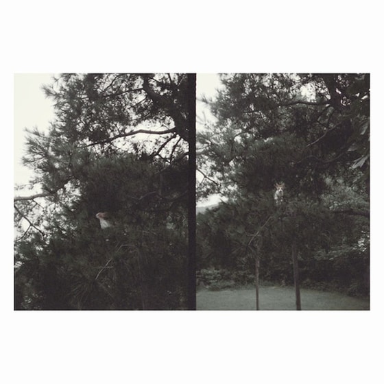 Just Like Any Other Day: Background Music For Your Mundane Activities (LP) image 0