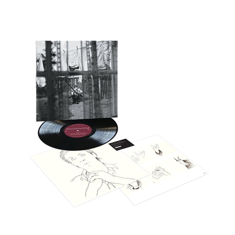 Chaos And Creation In The Backyard