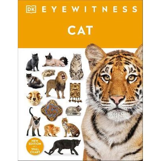 Cat image 0