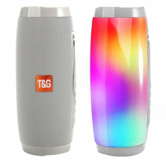 T&G Tg157 Φορητό Ηχείο 10 W - Γκρι image 1