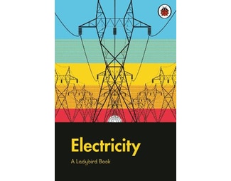Ladybird Book: Electricity image 0