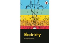 Ladybird Book: Electricity