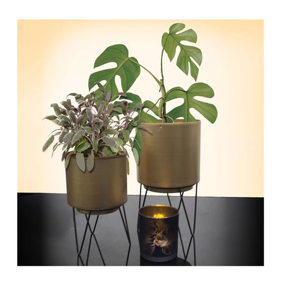 Σετ Κασπώ με Βάση Home Deco Factory 2 τμχ  - Χρυσά image 1