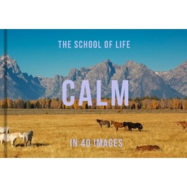 Calm in 40 Images