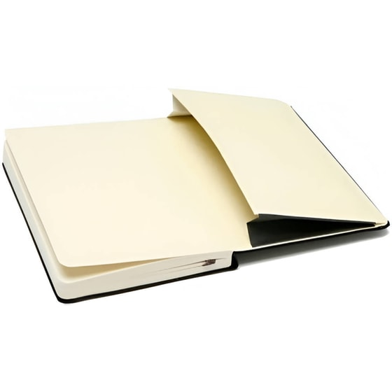 Σημειωματάριο Moleskine Japanese Accordian Album Large (1 Τεμάχιο) image 3