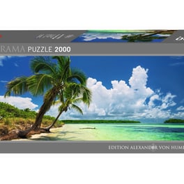 Heye Ηumboldt Pano - Παραδεισένιοι Φοίνικες 2000pcs (29860)