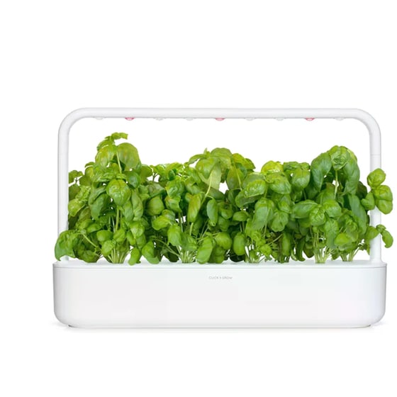 Κάψουλες Click and Grow 3 Τμχ - Βασιλικός image 3