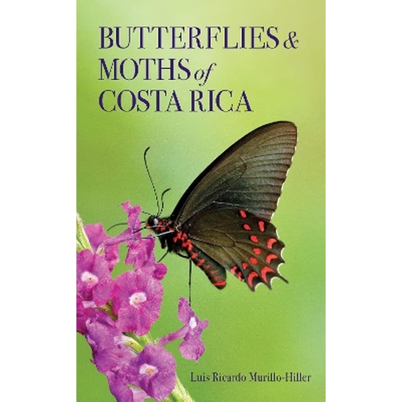 Butterflies and Moths of Costa Rica