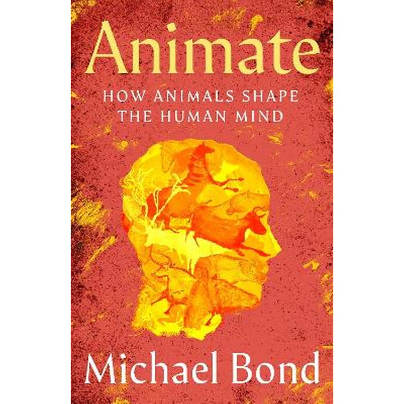 Animate