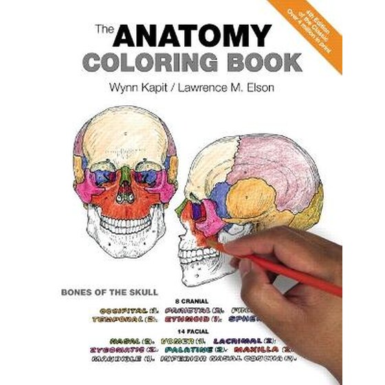 Anatomy Coloring Book, The image 0