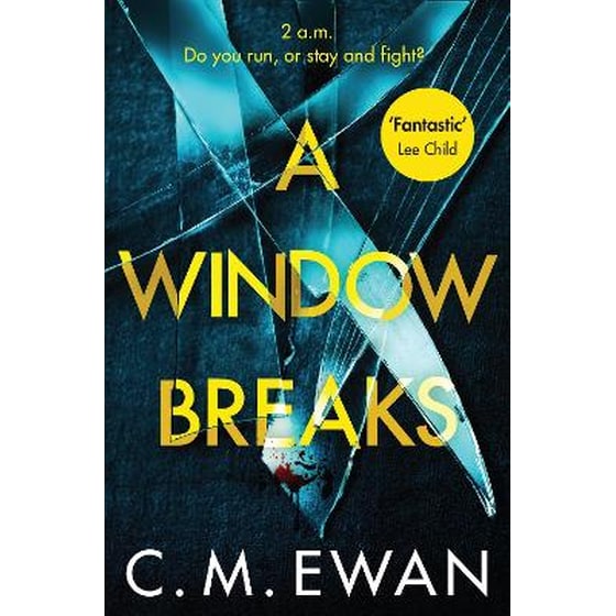 Window Breaks image 0