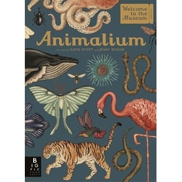 Animalium