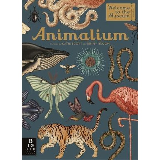 Animalium image 0