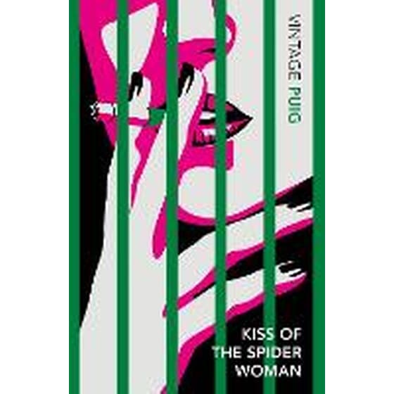 Kiss of the Spider Woman image 0