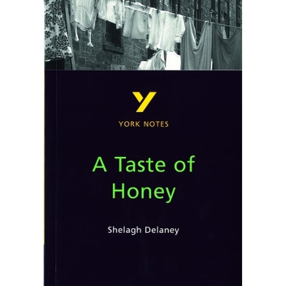 A Taste of Honey York Notes GCSE English Literature Study Guide - for 2026, 2027 exams image 0