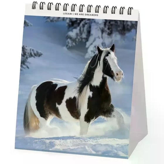 Ημερολόγιο Γραφείου Legami 2026 Wild Horses image 1