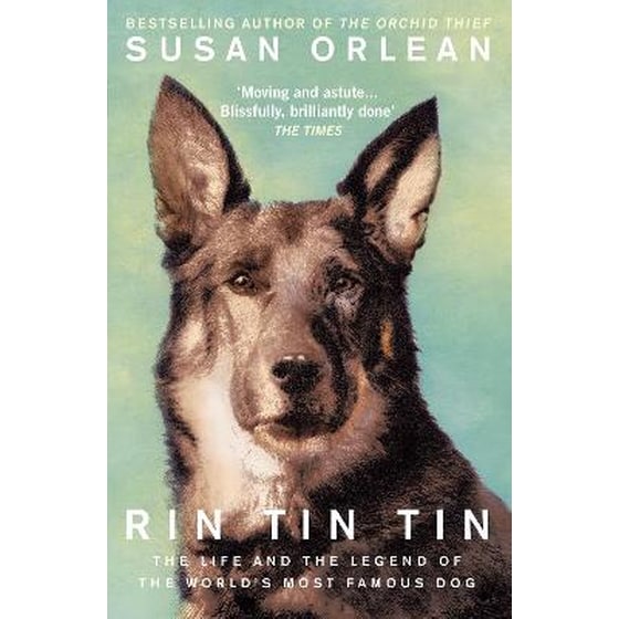 Rin Tin Tin image 0
